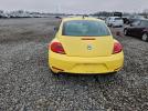 Volkswagen Beetle Image 4