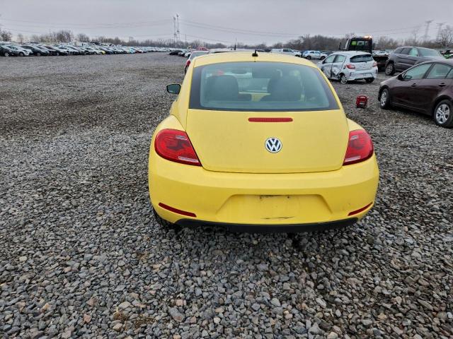 Volkswagen Beetle Image 4