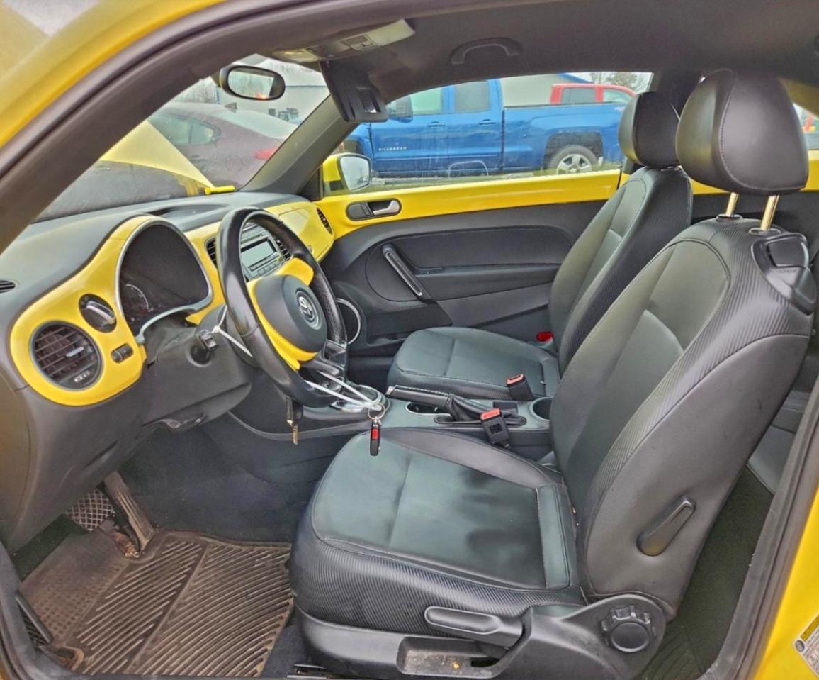 Volkswagen Beetle Image 3