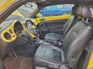Volkswagen Beetle Image 3