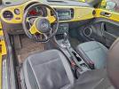 Volkswagen Beetle Image 5
