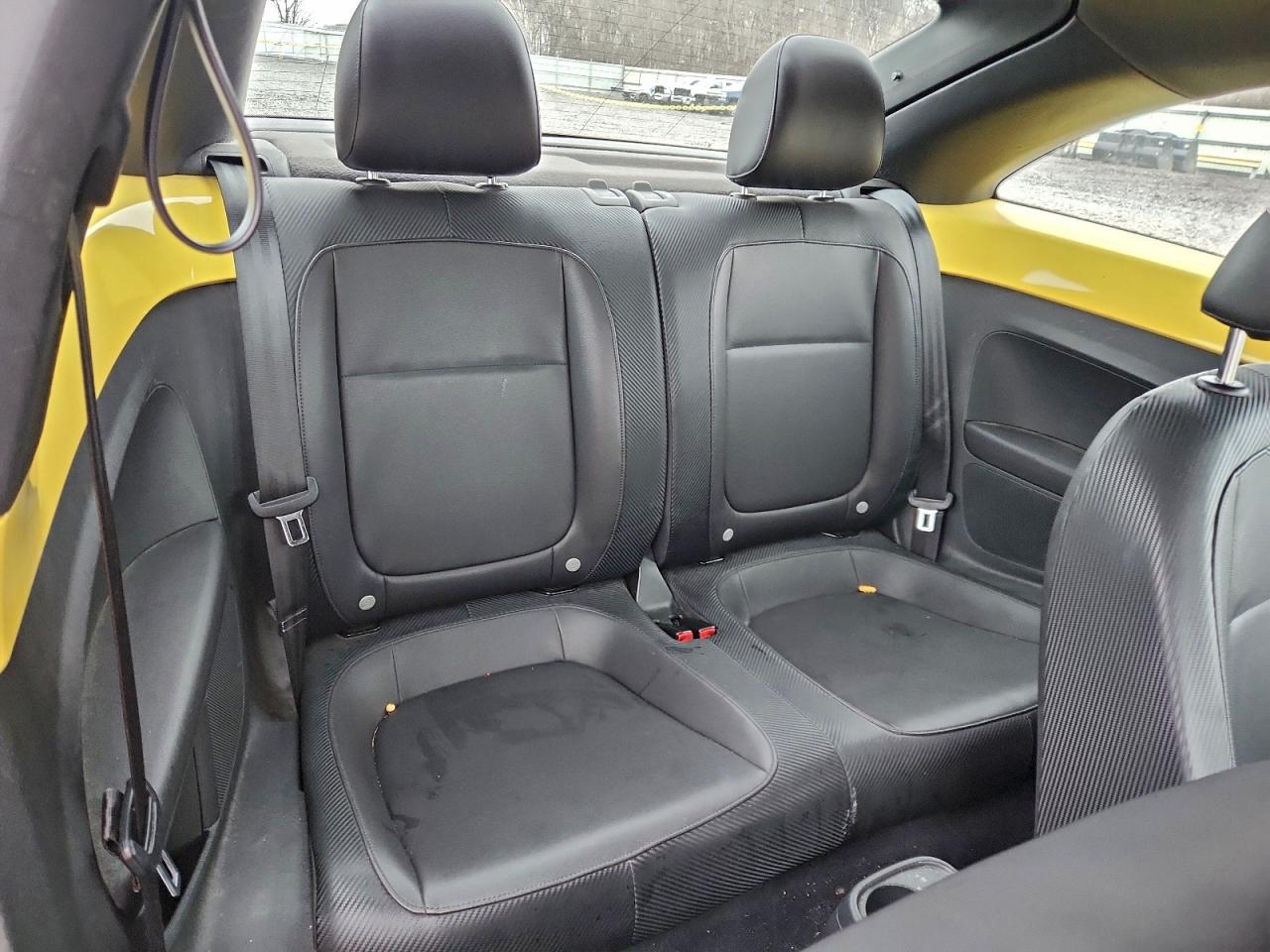 Volkswagen Beetle Image 6