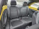 Volkswagen Beetle Image 6