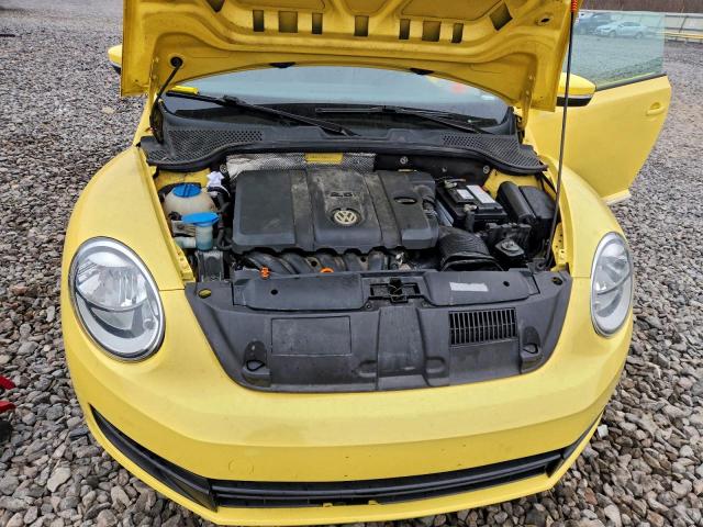 Volkswagen Beetle Image 8