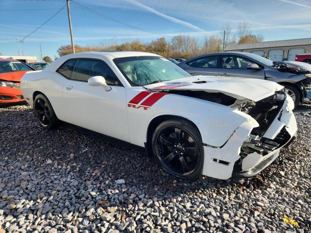 Dodge Challenger R/t Image 2