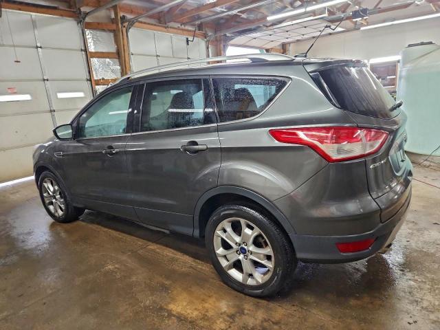 Ford Escape Titanium Image 5