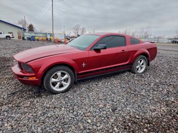  Salvage Ford Mustang