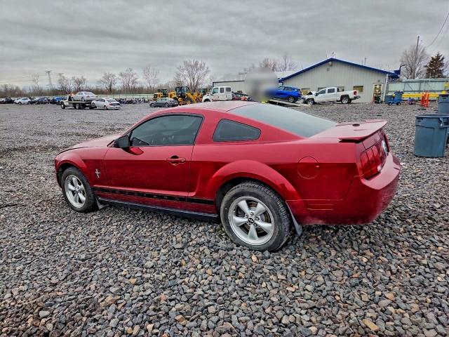 Ford Mustang Image 2