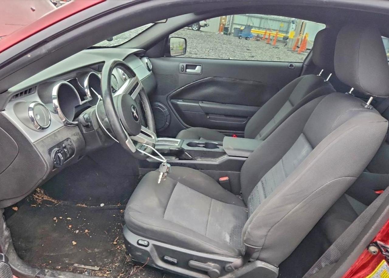 Ford Mustang Image 6