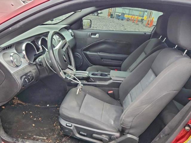 Ford Mustang Image 6