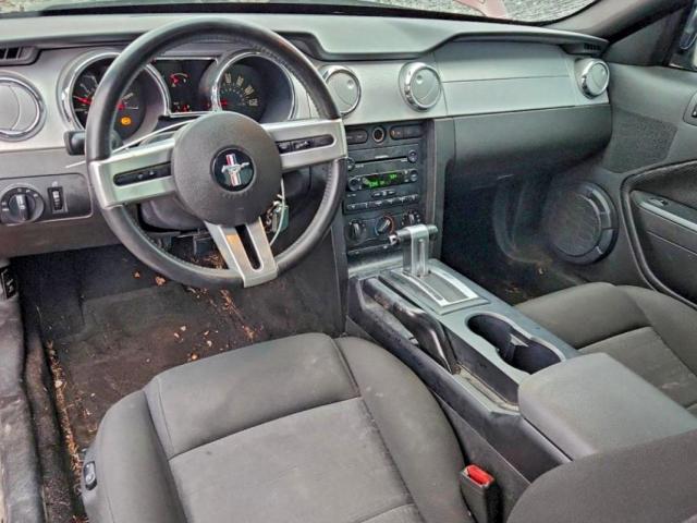 Ford Mustang Image 3