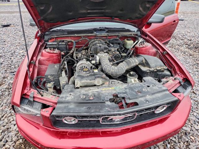 Ford Mustang Image 8